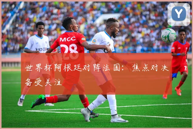 世界杯阿根廷对阵法国：焦点对决备受关注
