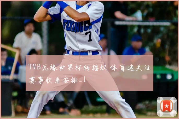 TVB无缘世界杯转播权 体育迷关注赛事收看安排_1